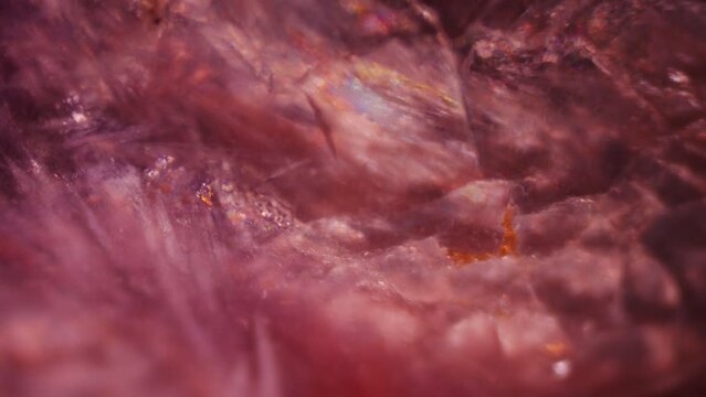 Archaeology and Geology. Studying fossils under microscope in laboratory. Delving into past geologic processes and Earth internal dynamics. Perfect for educational content, scientific research