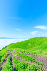 初夏の大観峰から見た雲海と景色　熊本県阿蘇市　Sea of ​​clouds and scenery seen from Daikanbo in early summer. Kumamoto Pref, Aso City.