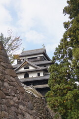 Fototapeta premium 松江城 