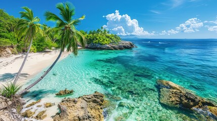 a panoramic view of a tropical beach with crystal clear waters and white sandy shores, palm trees swaying gently in the breeze, creating a perfect vacation wallpaper, with clear copy space for text
