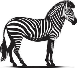 Zebra Silhouette vector illustration