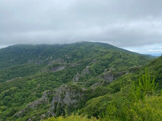 Fototapeta premium Sightseeing