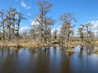 Photo of hardwood forest, swamp, and marsh habitats in Barataria Preserve within Jean Lafitte National Historical Park and Preserve, Jefferson Parish, Louisiana USA.