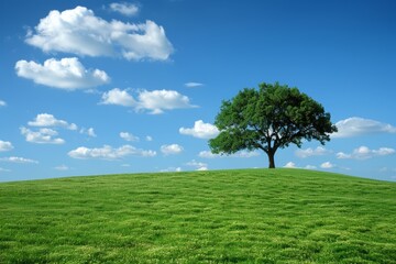 Single tree on green hilltop against a blue sky with white clouds. Concept of nature, tranquility, growth, peace, and environment.