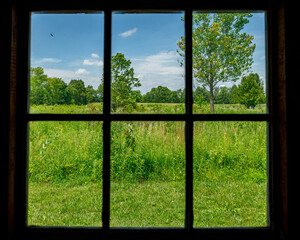 view of a field and trees framed through a barn window on a sunny day with clouds