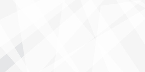 Abstract background with white and gray and geometric style with simple lines and corners, polygons as background geometric style with simple lines and corners, polygons as background paper texture	