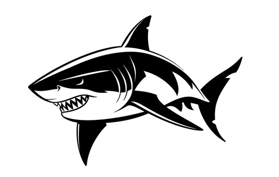shark silhouette on white background