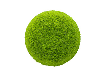 Fresh water Alga, Water Meal or Swamp Algae