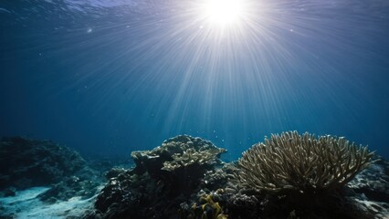 Fototapeta premium a photograph of an underwater view of a coral reef with sunlight streaming through the water's surface