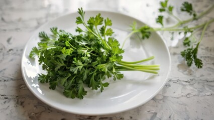 A fresh green parsley sprig, on a white ceramic plate.