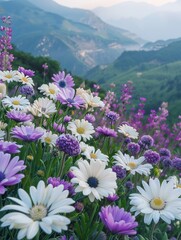 Fototapeta premium Purple and white flowers growing in a meadow in the mountains.