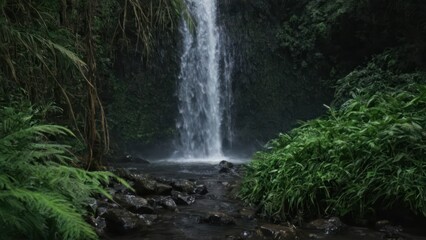 waterfall in the middle of a forest filled with green plants and a few rocks