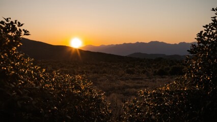 a photograph of the sun is setting over the mountains in the distance, with bushes in the foreground