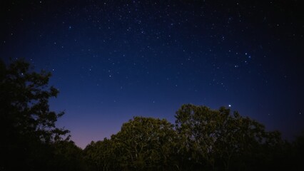 Fototapeta premium night sky filled with lots of stars and some trees in front of a full moon