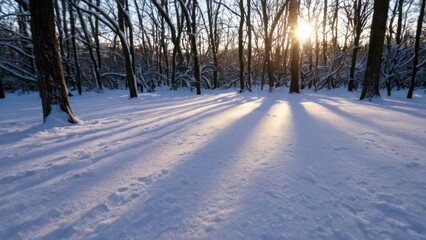Obraz premium a photograph of the sun shines brightly through the snow on the ground in front of some trees