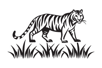 Obraz premium Tigers vector illustration