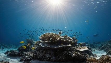 coral reef with a variety of fish swimming around it and a bright sun shining through the water