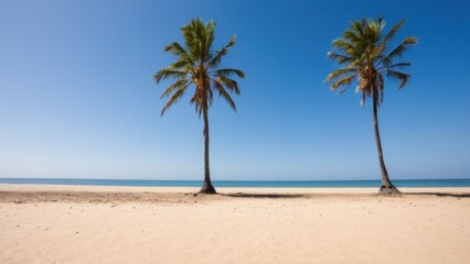 sandy beach with two palm trees on the shore and a blue sky in the background