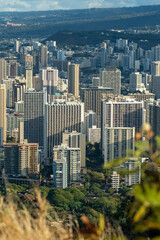 Fototapeta premium Spectacular view of Honolulu city, Oahu