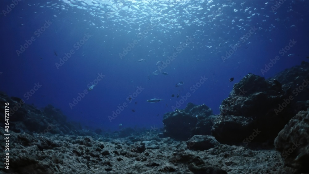 Wall mural group of fish swimming over rocks in a body of water with water surrounding them