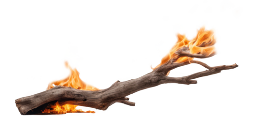 Burning branch with vibrant flames on isolate on transparent background, cutout, png