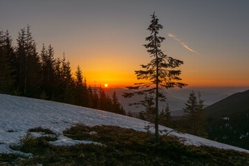 Dawn in the Ukrainian Carpathians with fog on the mountain slopes