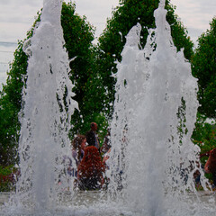 Fountain trees