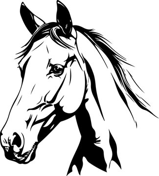 recommend clip art: Horse head simple drawing vector