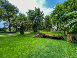 Nature Park with Wooden Bridge and Bench in Forest Setting