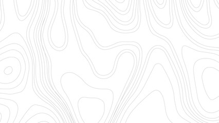 Topographic map top view lines. Vector graphic design. Horizontal banner. Vector illustration.