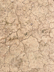 Cracked earth texture for nature background