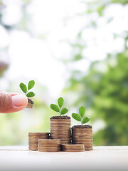 Close up hand putting coin into stack of coins and Plants growing up. The concept of saving money, Financial, Investment and Business growing.