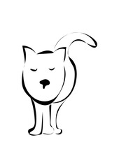 Katze