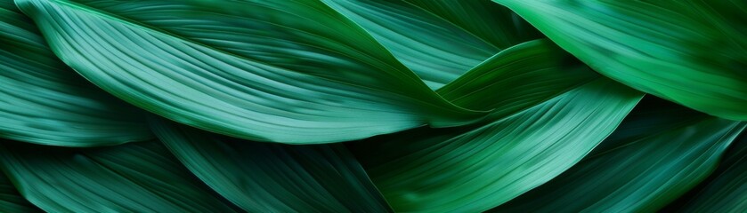 Dark nature concept with large green leaves merging against an abstract textured background