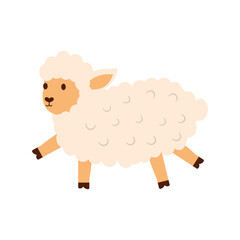 Sheep Cartoon Illustration