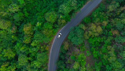 Aerial view of dark green forest road and white electric car Natural landscape and elevated roads Adventure travel and transportation and environmental protection concept	