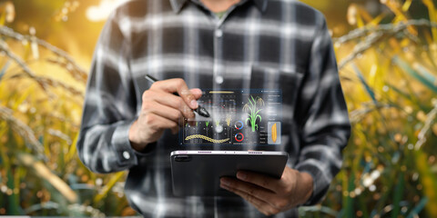 Smart Farm UI hologram system control, maintenance, displaying growth information Nutrients, fertilizers, water, insect pests of trees, plants, and vegetables, use technology in agriculture.