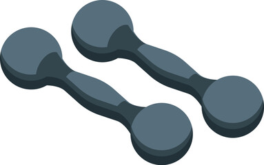 Pair of dumbbells for fitness training isolated on white background isometric view