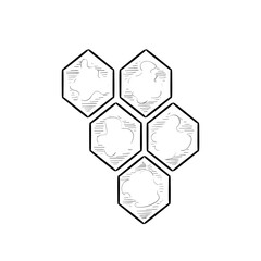 honeycomb handdrawn illustration