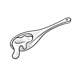 honey handdrawn illustration