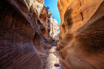 Stunning Formations in Willis Creek Slot Canyon, Grand Staircase Escalante National Monument, Utah