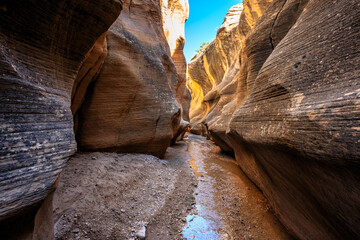 Willis Creek Slot Canyon, Grand Staircase Escalante National Monument, Utah