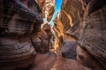 Stunning Formations in Willis Creek Slot Canyon, Grand Staircase Escalante National Monument, Utah