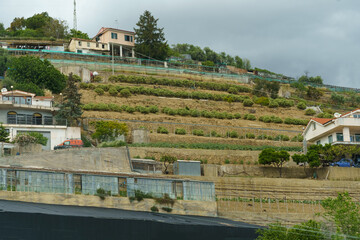 Terraced Gardens and Homes on a Hillside in Portugal