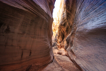 Afternoon Glow in Willis Creek Slot Canyon, Grand Staircase Escalante National Monument, Utah