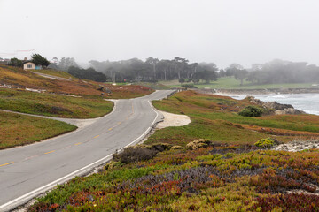 Coastal landscape in California