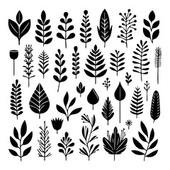 collection of plant elements in various elegant shapes ready to use