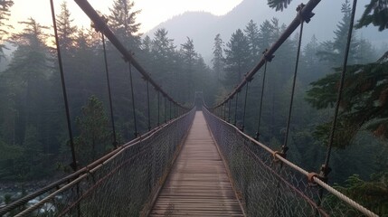 Obraz premium View from the Suspension Bridge