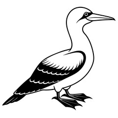 Obraz premium Gannet bird icon vector silhouette illustration. 