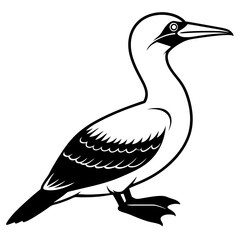 black crowned crane